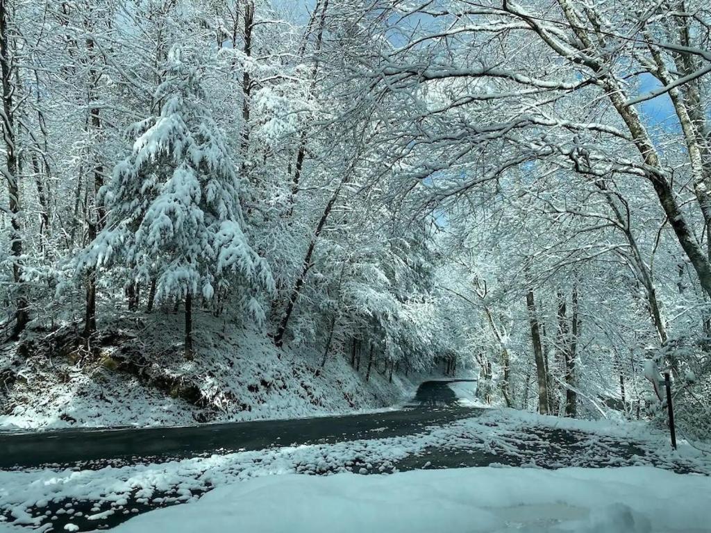 Cabin With Treehouse Views, 3 King Beds, 4 Bunks, And Large Hot Tub! Gatlinburg Esterno foto